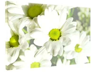 White Daisy Flowers Floral Canvas Picture Print Framed Wall Art • £21.95
