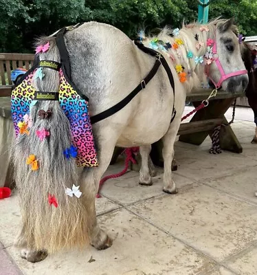 Therapy Manure Catcher.  Poo Bag.  Thunderpants. Miniature Horse. Shetland Pony • £48