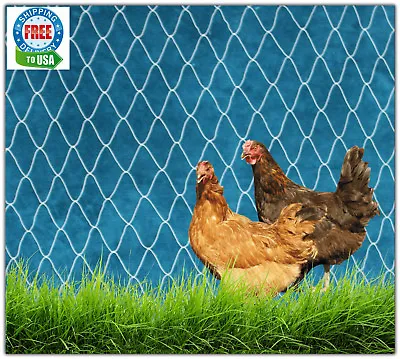 Poultry Netting 35' Plant Protective Net Game Bird Chicken Duck Quail Aviary Pen • $36.25