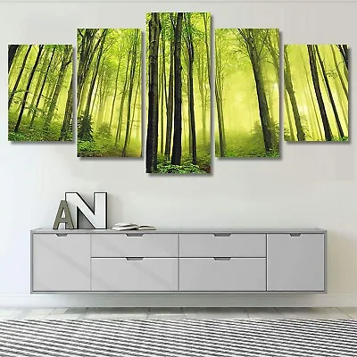 Summer Fog In The Forest 5 Pieces Canvas Print Wall Art Poster Home Decoration • $161.80
