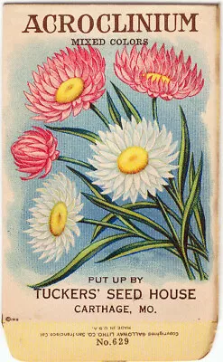 Vintage Flower Seed Packet  ACROCLINIUM   1918  NO SEEDS  Original LITHOGRAPH • $8