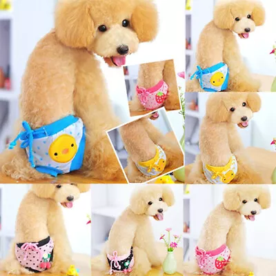 Female Pet Dog Cat Nappy Washable Diaper Physiological Pants Panties Underwear • $4.39