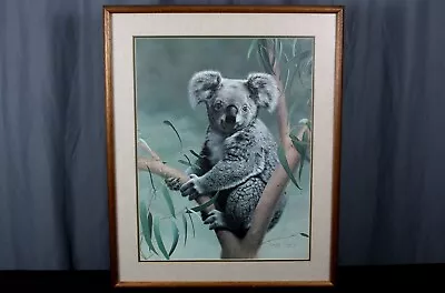 Charles Frace  Koala  Signed Numbered & Framed Print • $135