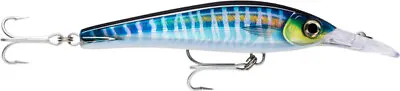 Rapala X-Rap Magnum Xtreme XRMAGXT160 Trolling Lure • $27.98