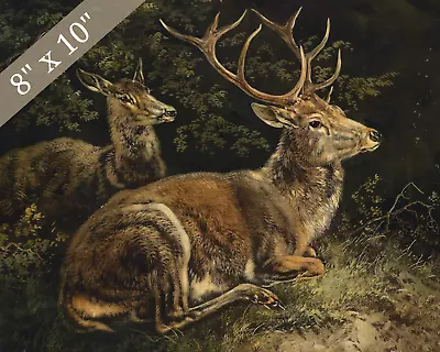 Antique Deer Painting Reproduction Giclee Print 8x10 On Fine Art Paper • $14.99