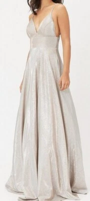 £50 • Buy Brand New Coast Size 10 Silver Sparkly Metallic Open Back Strappy Prom Dress