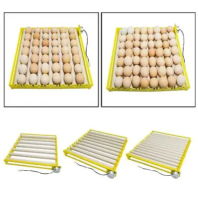 Egg Incubator Tray 360° Rotary Automatic Egg Roller Household For Duck • £28.96