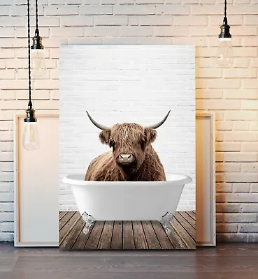 £24.99 • Buy Highland Cow Animal In Bath CANVAS WALL ART PRINT ARTWORK PAINTING FRAMED POSTER