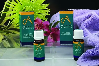 Absolute Aromas Essential Oils 10/30/100mls - Aromatherapy & Diffusers • £22.49