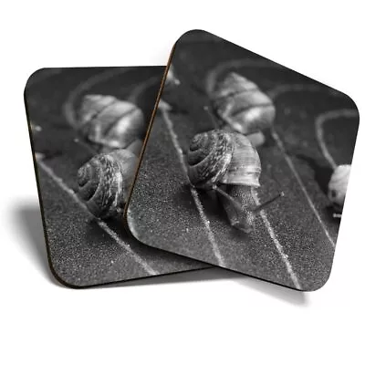 2 X Coasters (BW) - Racing Snails Race Funny Insect Snail  #43556 • £5.99