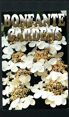 GILROY CA * BONFANTE GARDENS ~ OAKLEAF HYDRANGEA * 4 X 6 UNPOSTED  1980s CHROME • $4