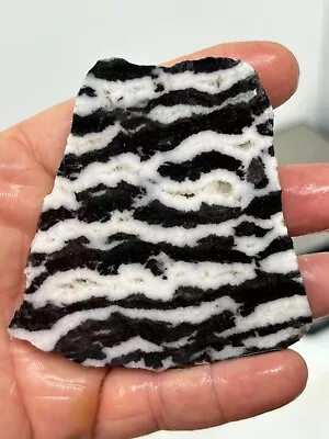 Zebra Stone Aka Zebra Marble Slab Cabbing Lapidary Carving Reiki Chakra Utah • $16