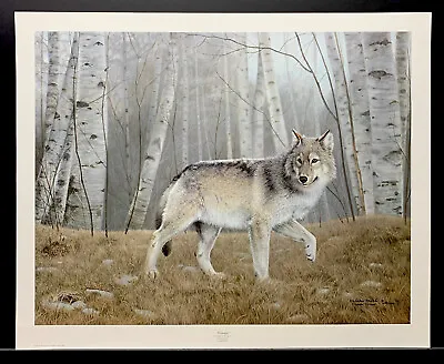 Charles Frace Signed Limited Edition Signed Print  Watchful  Grey Wolf • $124.95