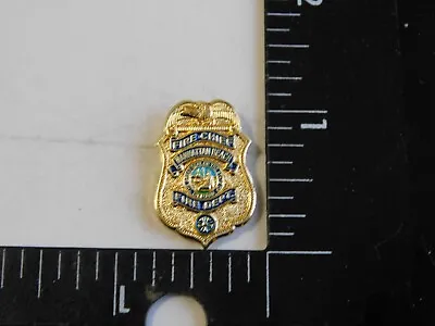 Fire Chief Manhattan Beach California Fire Department Mini Badge Pin • $9.99