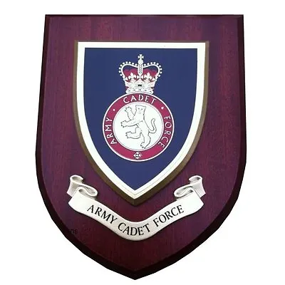 ACF Army Cadet Force Military Wall Plaque UK Hand Made For MOD • £21.99