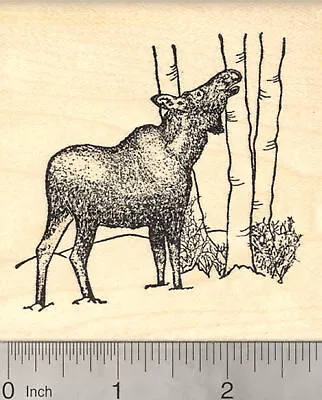 Female Moose Rubber Stamp Alaska Large L26024 WM • $23