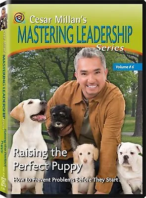 Cesar Millan's Mastering Leadership Series Volume 6 • £17.70