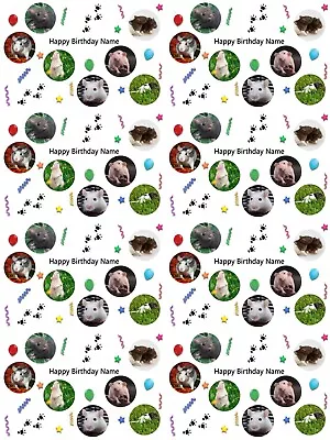 Rats Personalised Birthday Gift Wrapping Paper 3 Designs ADD NAME • £4.19