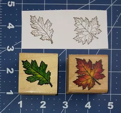 Stamp Craft Maple And Oak Leaves 440D45 440D47 Lot Of 2 Wood Mount Rubber Stamp • $2.99