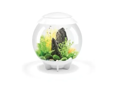 $20 • Buy BiOrb HALO 15 MCR - Fish Supplies - Aquarium Kits - WHITE