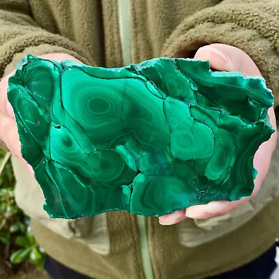 425G Natural Malachite Slice Quartz Crystal Luster Mineral Specimen • $7.50