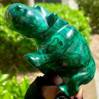 334G Rare Natural Malachite Quartz Hand Carved Hippo Crystal Healing • $1.99