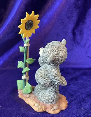 £7 • Buy Me To You Bears “ Watching Love Grow” Boxed