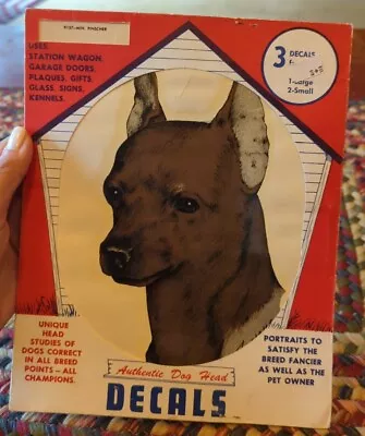 Vintage Miniature Pinscher 1971 Dog Art Decal By D.K. Dennis RARE!! • $20