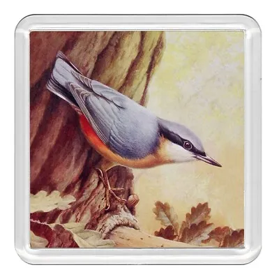 £2.99 • Buy Bird Nuthatch Lovely Acrylic Coaster Novelty Drink Cup Mat Great Gift