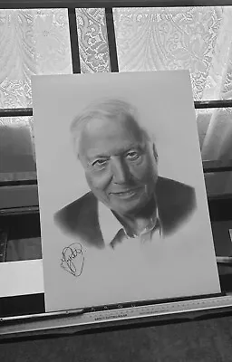 Sir David Attenborough Hand Drawn Art A3 Collectable Canvas Picture Gift Present • £20