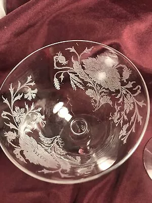 Stunning Etched Clear Floral Liqueur Wine Sherbet Glasses VTG Stemware Elegant 2 • $20