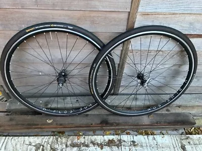 Custom H Plus Sons Wheels 32 Spokes • $600