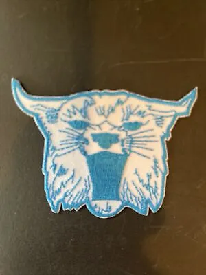 $5.99 • Buy University Of Kentucky Wildcats Vintage Embroidered Iron On Patch  3” X 2.5”