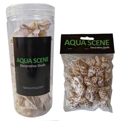 AquaScene Decorative Shells Aquarium Fish Tank Decor Hermit Crab Marine Natural • £9.99