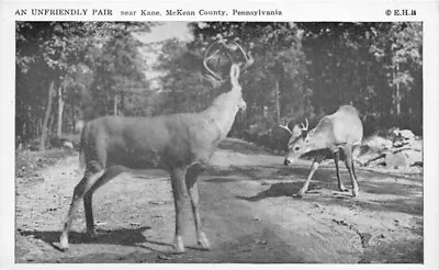 An Unfriendly Part Near Kane McKean County Pennsylvaia Two Deer • $7.99