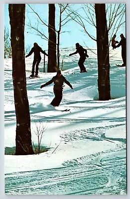 Vintage Postcard Vermont Stratton Mountain VT Snow Skiing School G4 • $3.65