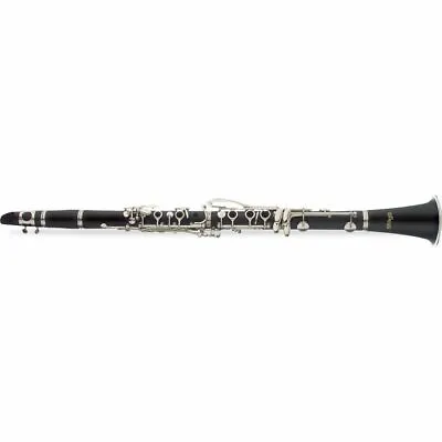 Stagg WS-CL210 Bb Clarinet With Hard Case Included • $269.99