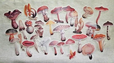 $12 • Buy Vintage Mushrooms Stickers 29Pcs Travel Bullet Journal Craft Paper Scrapbooking 