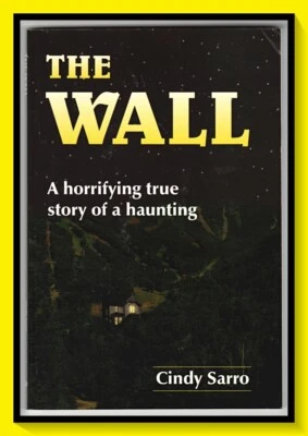 £6.95 • Buy The Wall By Cindy Sarro Paperback Book Published 2006 - Ghost Story - Free P&P