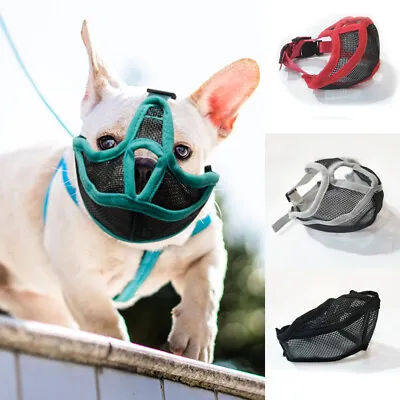 £5.99 • Buy Secure Muzzle For Short Flat Nosed Breed Dogs Frenchy Bull Boxer Boston Terrier