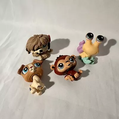 Littlest Pet Shop LPS Bundle X4 • £8