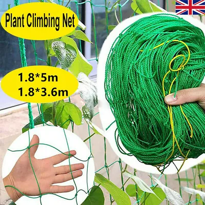 £7.99 • Buy Climbing Plant Support Mesh Garden Net Netting Clematis Cucumber Bean Trellis UK