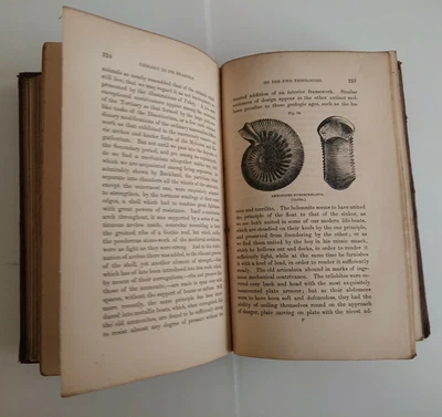 £15 • Buy The Testimony Of The Rocks Or Geology In Its Bearings By Hugh Miller, 1858, HB