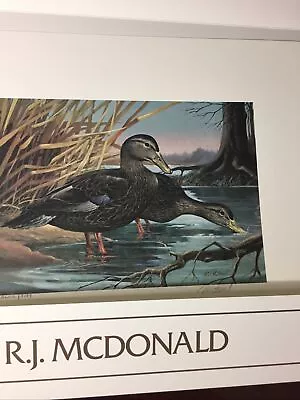 State Duck1987KentuckyRjMcDonald  In FolderNo Stamp.ExcellentMint. • $150