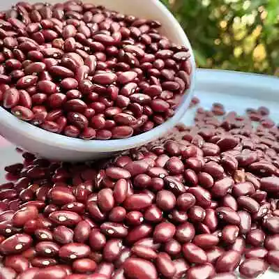 Rajma-Red Rajma Beans-Razma-Laal Lobia-Grocery-Free Shiping • $19.99