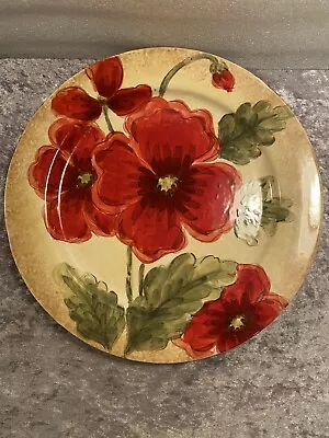 (2) Maxcera Poppies 11-3/8  Dinner Plates • $23.95