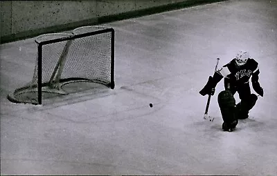 LG772 1983 Original Mike Zerby Photo YALE BULLDOGS MINN GOPHERS College Hockey • $20