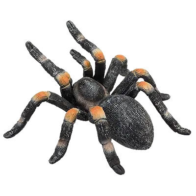 £7.95 • Buy .Mojo RED KNEED TARANTULA Wild Zoo Animals Play Model Figure Toys Plastic Spider