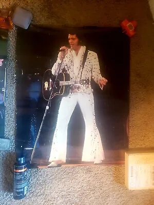 Elvis Presley Beautiful Concert Lobby Poster 1975  Wow • $44