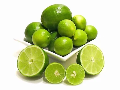 Key Lime Seeds 20+ Tree Organic Home Plant Natural Citrus Fruit Seed Ceylon New • $7.99